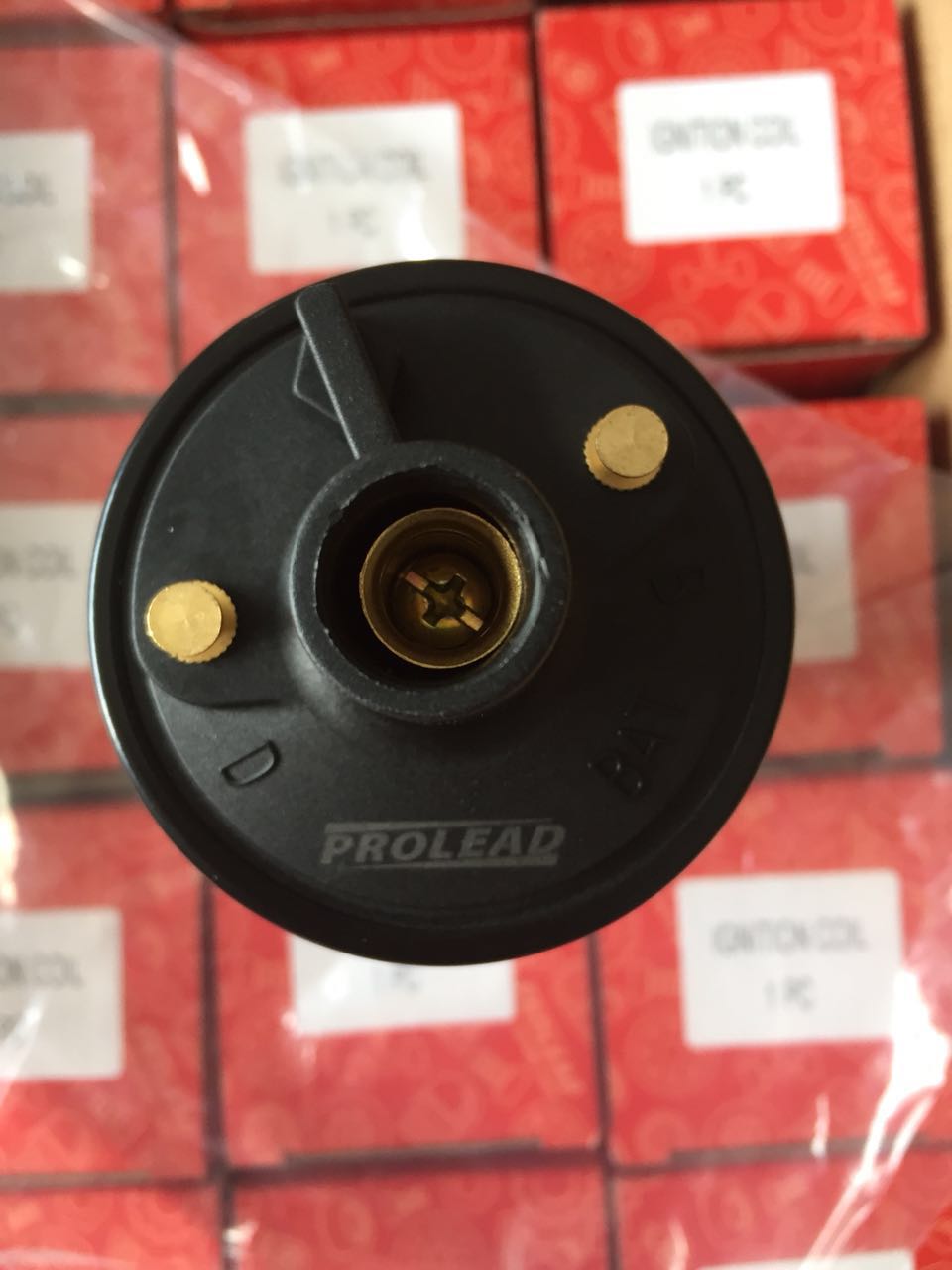 Prolead Coil