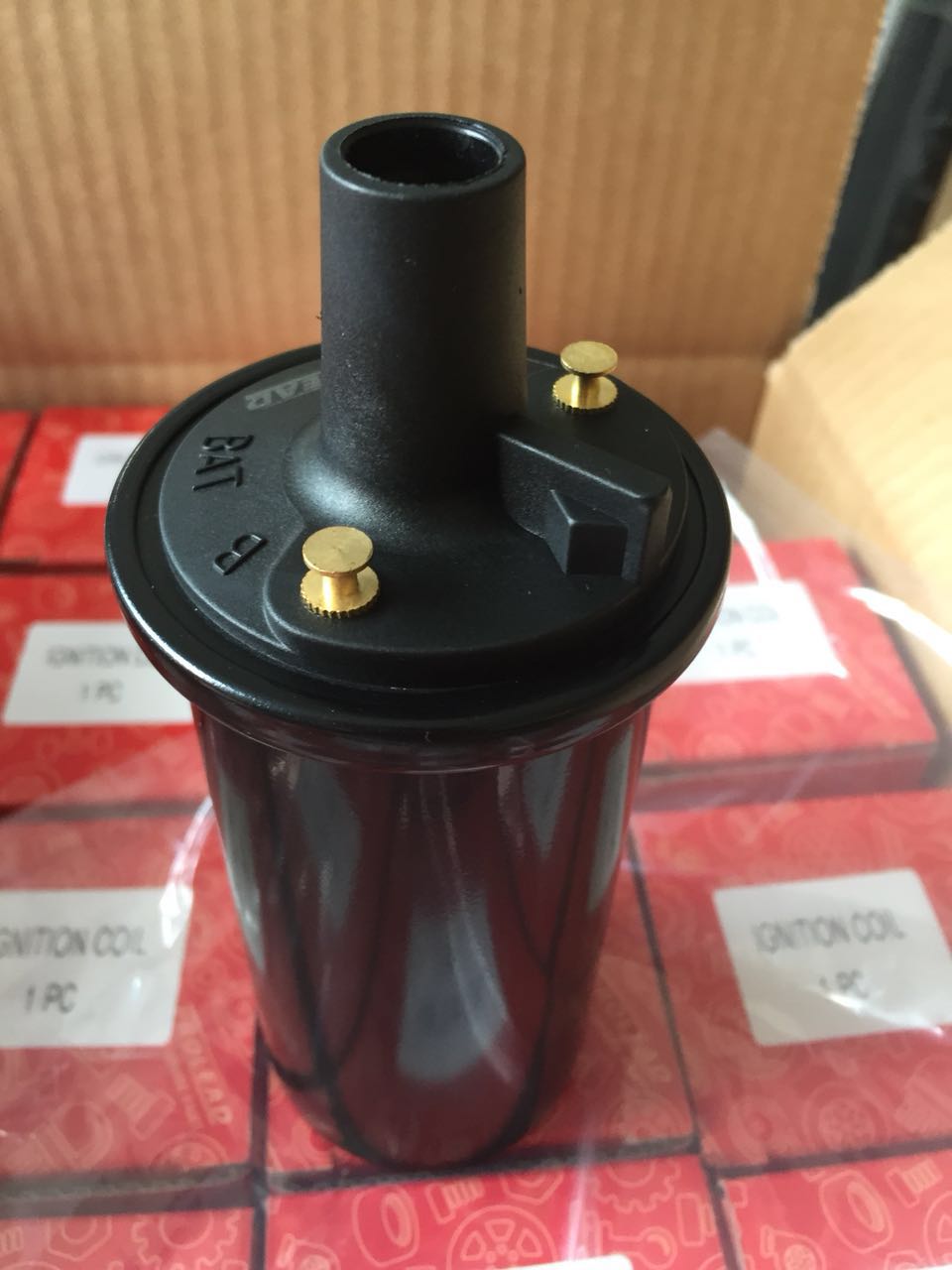 Prolead Coil